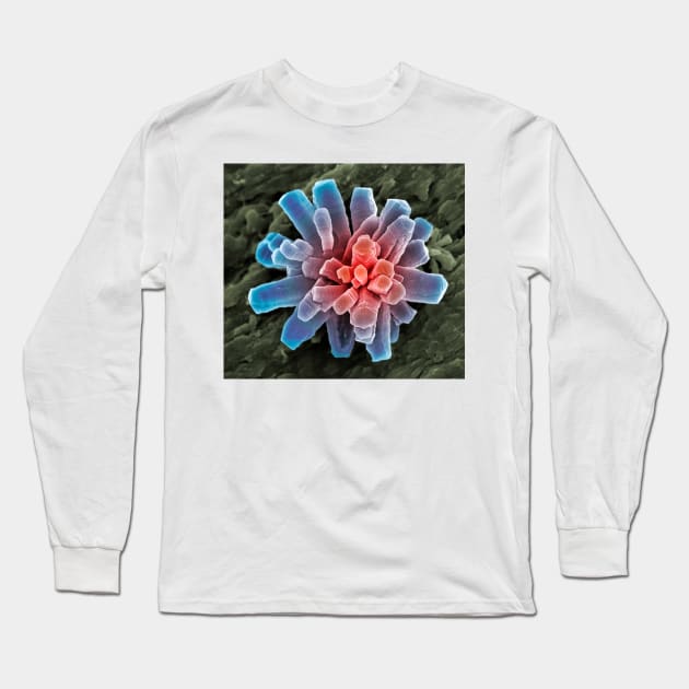 Calcium phosphate crystal, SEM (A600/0865) Long Sleeve T-Shirt by SciencePhoto